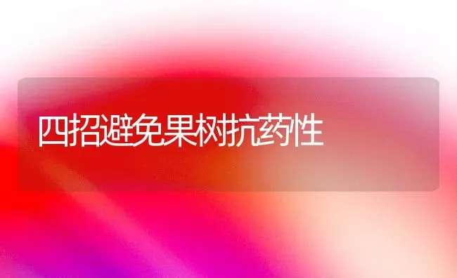 柿树整形修剪技术要点 | 养殖技术大全