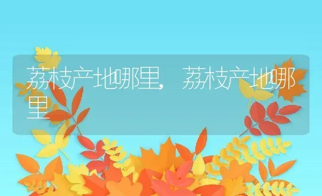 荔枝产地哪里,荔枝产地哪里 | 养殖科普