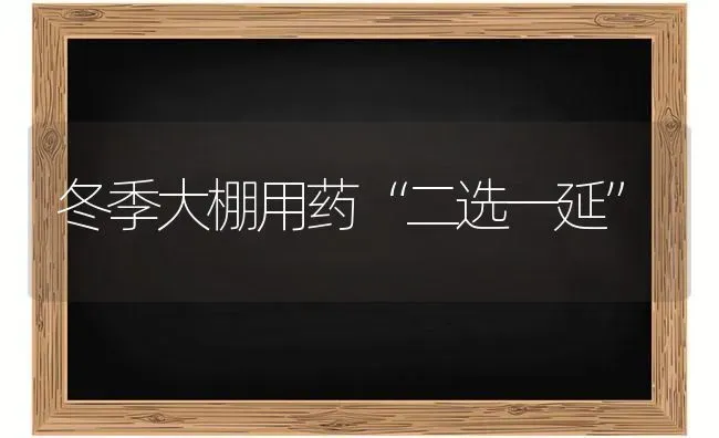 冬季大棚用药“二选一延” | 养殖知识