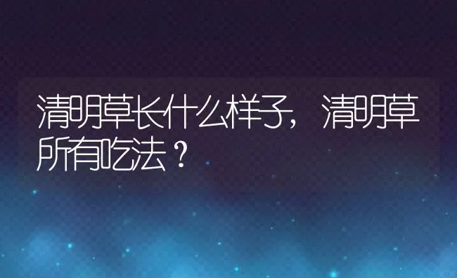 清明草长什么样子,清明草所有吃法？ | 养殖科普