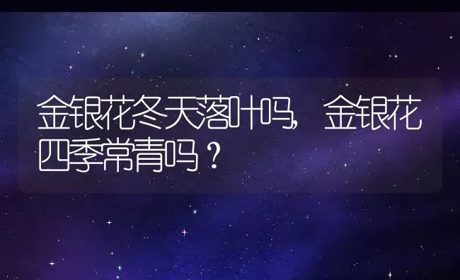 金银花冬天落叶吗,金银花四季常青吗？ | 养殖学堂