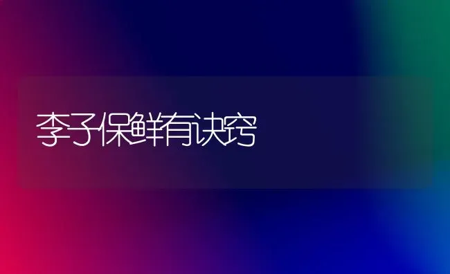 李子保鲜有诀窍 | 养殖知识