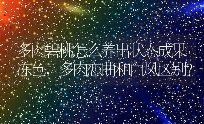 多肉碧桃怎么养出状态成果冻色,多肉恋曲和白凤区别？ | 养殖科普