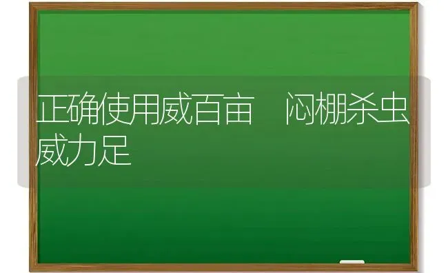 正确使用威百亩 闷棚杀虫威力足 | 养殖技术大全