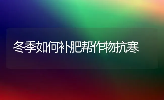 冬季如何补肥帮作物抗寒 | 养殖技术大全