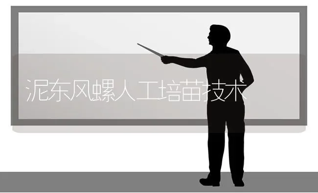 白兰花叶子发黄的解决方法 | 养殖技术大全