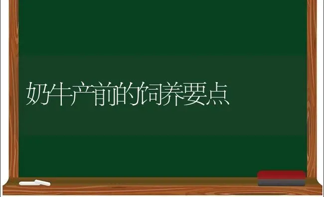 奶牛产前的饲养要点 | 养殖知识