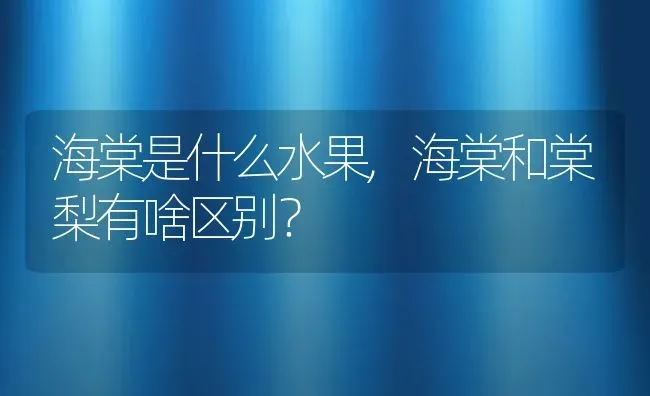 海棠是什么水果,海棠和棠梨有啥区别？ | 养殖科普