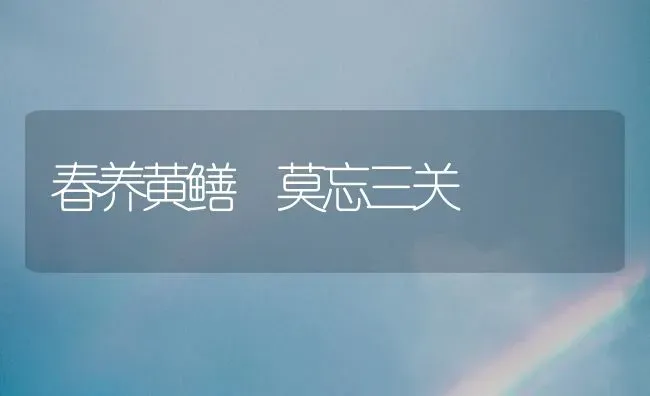 春养黄鳝 莫忘三关 | 养殖知识