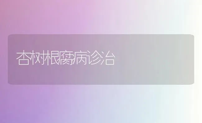 杏树根腐病诊治 | 养殖技术大全