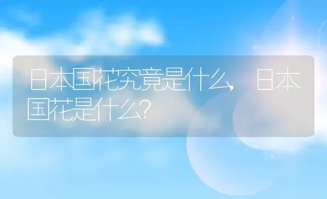 日本国花究竟是什么,日本国花是什么？ | 养殖科普