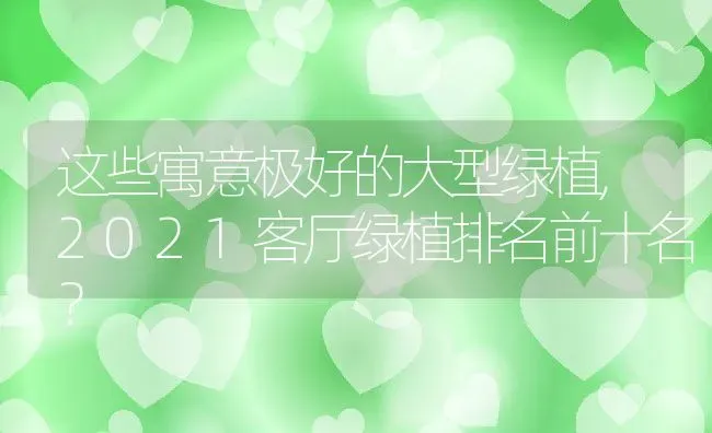 这些寓意极好的大型绿植,2021客厅绿植排名前十名？ | 养殖科普