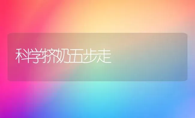 科学挤奶五步走 | 养殖技术大全