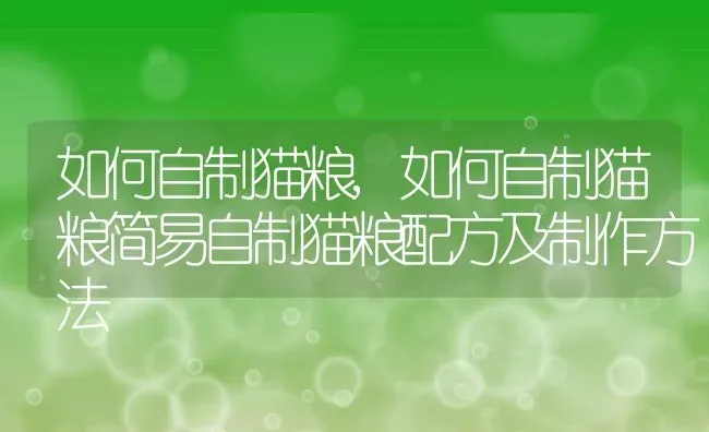 如何自制猫粮,如何自制猫粮简易自制猫粮配方及制作方法 | 养殖资料