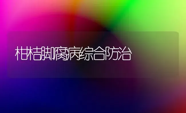 柑桔脚腐病综合防治 | 养殖知识