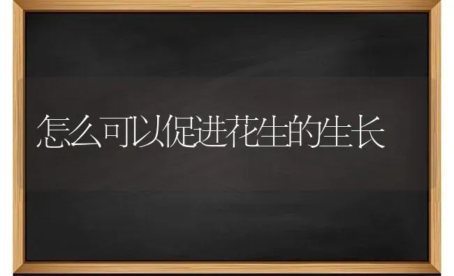 怎么可以促进花生的生长 | 养殖知识