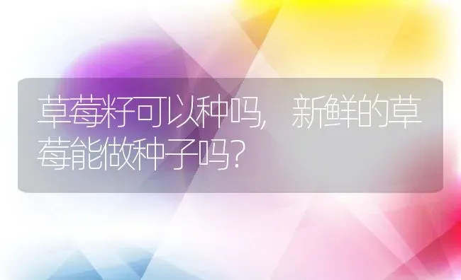 草莓籽可以种吗,新鲜的草莓能做种子吗？ | 养殖科普