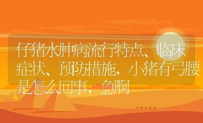 仔猪水肿病流行特点、临床症状、预防措施,小猪有弓腰是怎么回事，急啊 | 养殖学堂