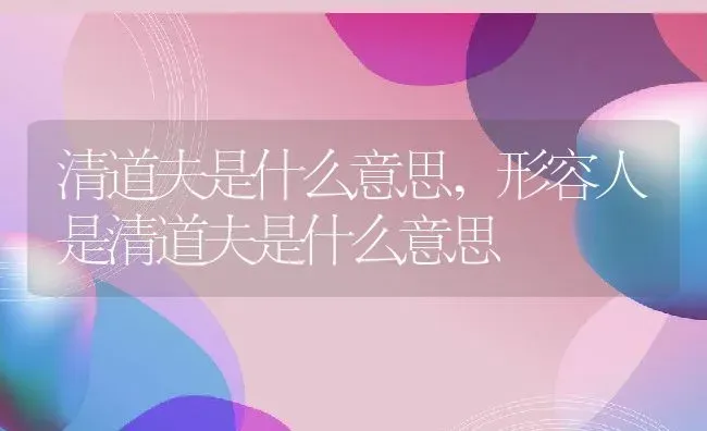 清道夫是什么意思,形容人是清道夫是什么意思 | 养殖科普