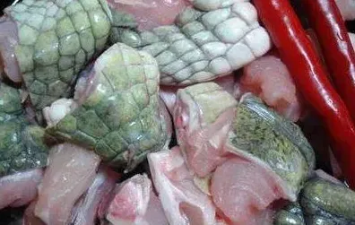 鳄鱼肉价格 | 三农知识