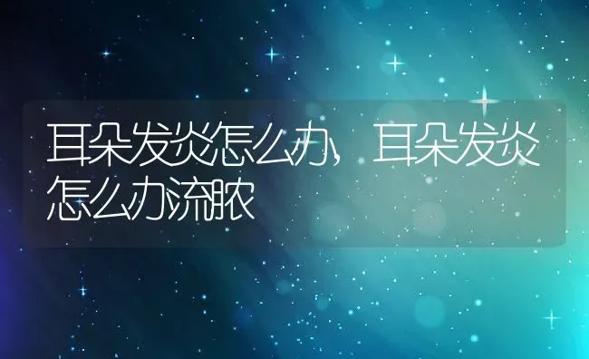如何提高胆量,如何提高胆量克服恐惧 | 养殖科普