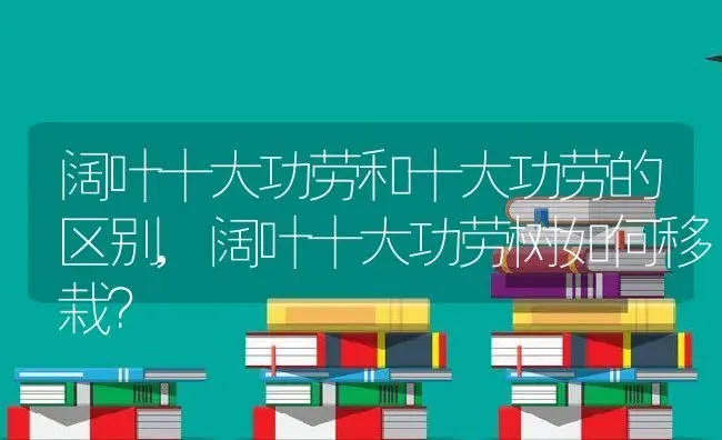 阔叶十大功劳和十大功劳的区别,阔叶十大功劳树如何移栽？ | 养殖科普