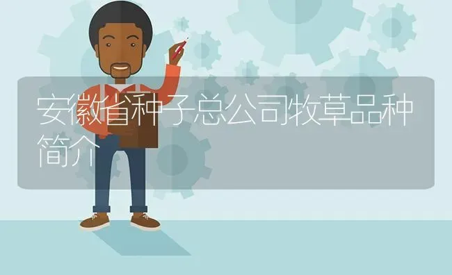 安徽省种子总公司牧草品种简介 | 养殖技术大全