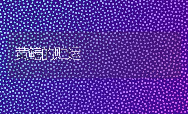 黄鳝的贮运 | 养殖知识