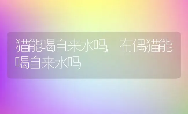 丘吉尔的黑狗,丘吉尔的黑狗经典语句 | 养殖资料