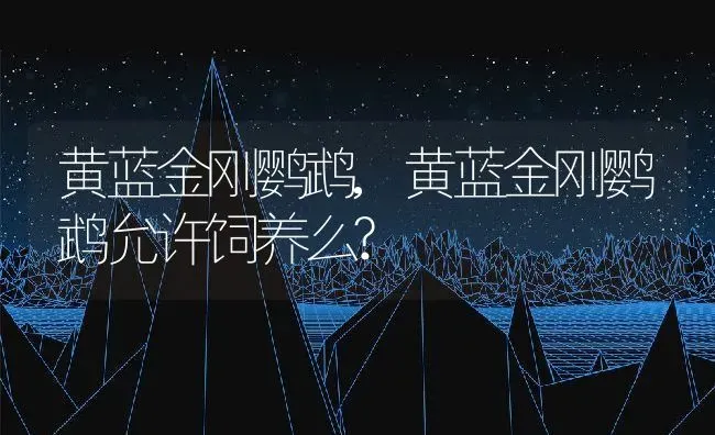 黄蓝金刚鹦鹉,黄蓝金刚鹦鹉允许饲养么? | 养殖科普