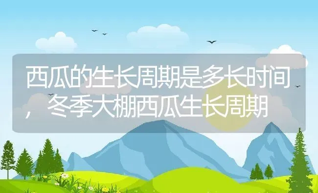 西瓜的生长周期是多长时间,冬季大棚西瓜生长周期 | 养殖学堂