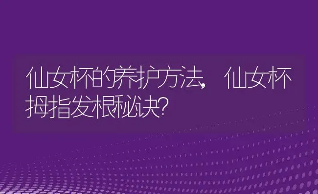 仙女杯的养护方法,仙女杯拇指发根秘诀？ | 养殖科普