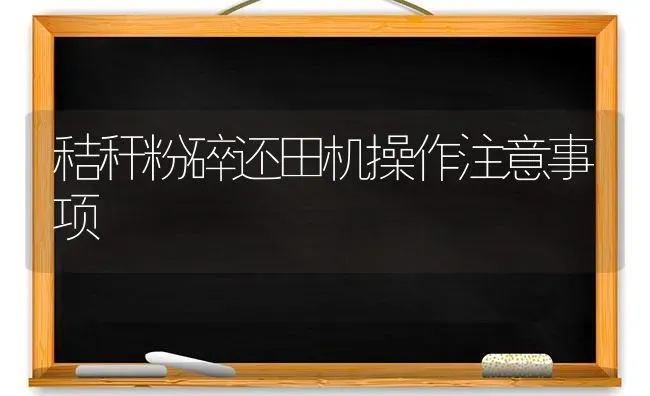 秸秆粉碎还田机操作注意事项 | 养殖技术大全