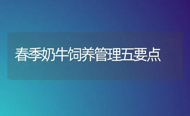 春季奶牛饲养管理五要点 | 养殖技术大全