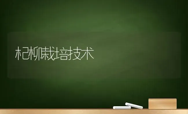 杞柳栽培技术 | 养殖知识