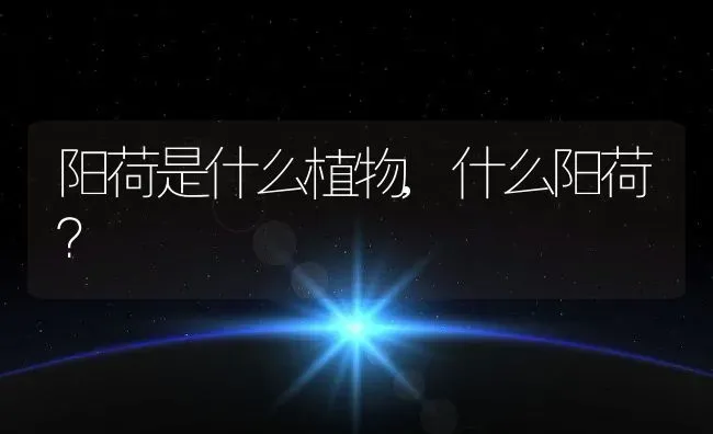 山茶花什么时候长花苞,茶花红叶贝拉什么时候长花苞？ | 养殖科普