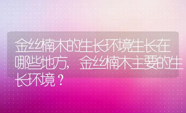 金丝楠木的生长环境生长在哪些地方,金丝楠木主要的生长环境？ | 养殖科普