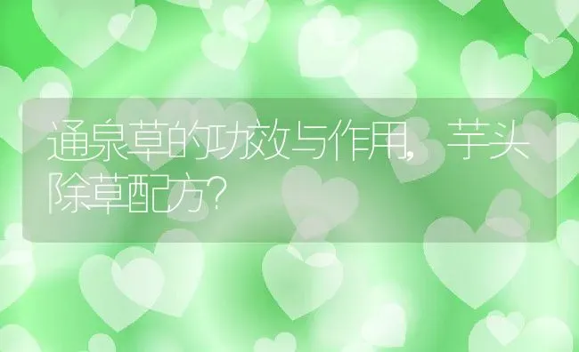 通泉草的功效与作用,芋头除草配方？ | 养殖科普