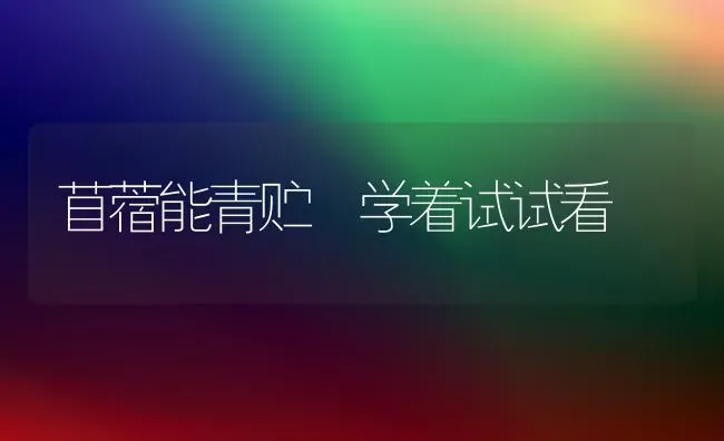 苜蓿能青贮 学着试试看 | 养殖知识