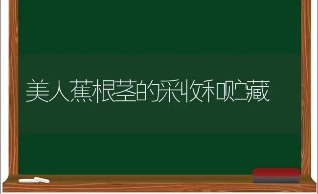 美人蕉根茎的采收和贮藏 | 养殖技术大全