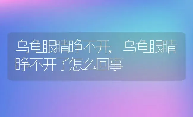 乌龟眼睛睁不开,乌龟眼睛睁不开了怎么回事 | 养殖科普