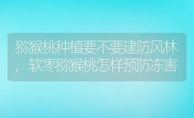 猕猴桃种植要不要建防风林,软枣猕猴桃怎样预防冻害 | 养殖学堂