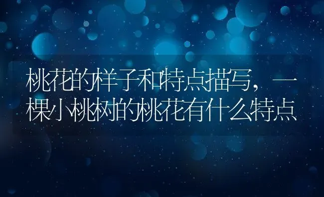 桃花的样子和特点描写,一棵小桃树的桃花有什么特点 | 养殖学堂