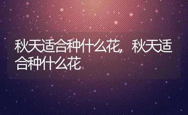 秋天适合种什么花,秋天适合种什么花 | 养殖科普