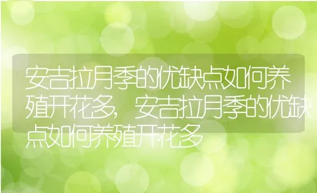 茶蘼的花语是什么含义,茶蘼绮丽读什么？ | 养殖科普
