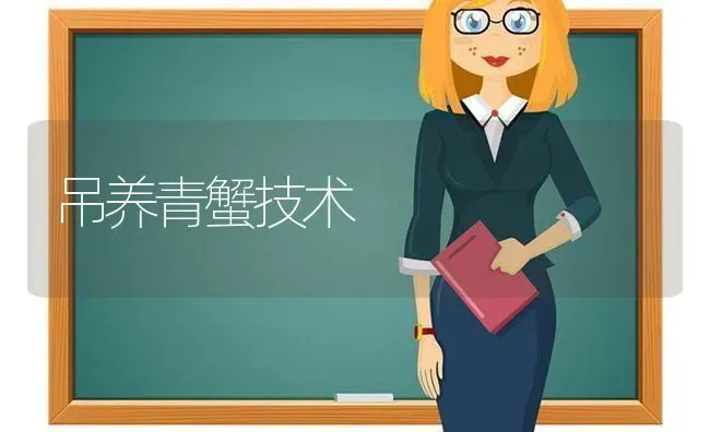 吊养青蟹技术 | 养殖知识