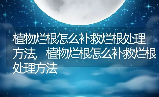 植物烂根怎么补救烂根处理方法,植物烂根怎么补救烂根处理方法 | 养殖科普