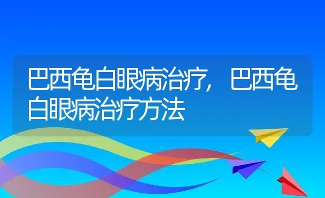 巴西龟白眼病治疗,巴西龟白眼病治疗方法 | 养殖科普