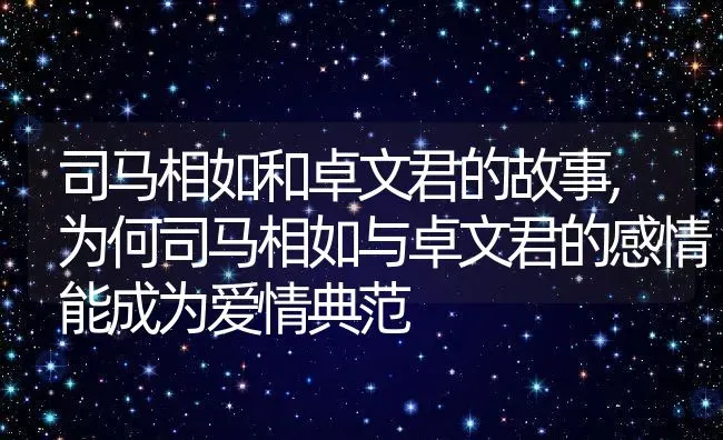 司马相如和卓文君的故事,为何司马相如与卓文君的感情能成为爱情典范 | 养殖学堂