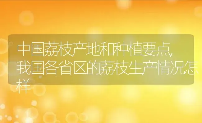 中国荔枝产地和种植要点,我国各省区的荔枝生产情况怎样 | 养殖学堂